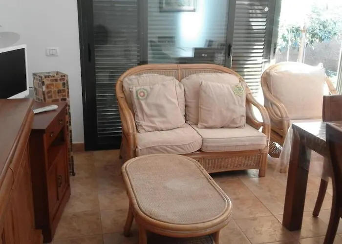 Gavilán