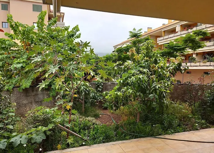 Apartamento Gavilán *